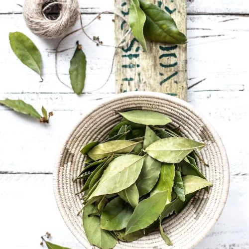 The Power Of Herbs: Top 3 Adaptogens To Boost Your Health