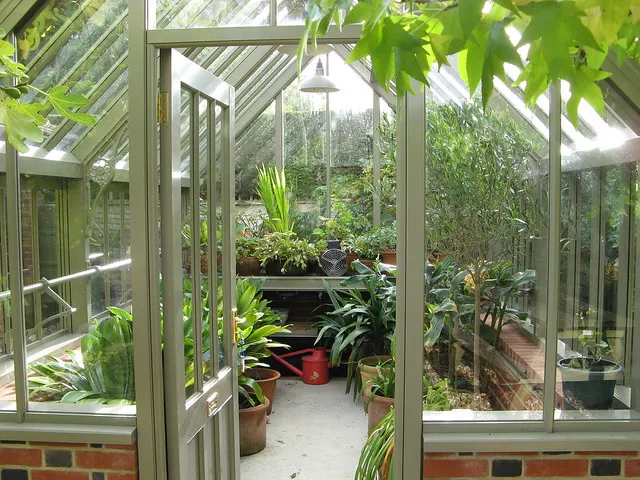 Top 5 Vegetables To Grow Over Winter